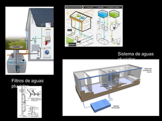 Filtros de aguas 
pluviales 
Sistema de aguas 
pluviales 
 