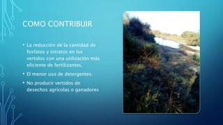 COMO CONTRIBUIR
• La reducción de la cantidad de
fosfatos y nitratos en los
vertidos con una utilización más
eficiente de fertilizantes.
• El menor uso de detergentes.
• No producir vertidos de
desechos agrícolas o ganadores
 