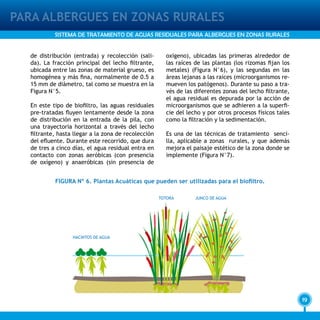 19
PARA ALBERGUES EN ZONAS RURALES
SISTEMA DE TRATAMIENTO DE AGUAS RESIDUALES PARA ALBERGUES EN ZONAS RURALES
HACINTOS DE AGUA
CAPA ORGÁNICA
TOTORA JUNCO DE AGUA
de distribución (entrada) y recolección (sali-
da). La fracción principal del lecho filtrante,
ubicada entre las zonas de material grueso, es
homogénea y más fina, normalmente de 0.5 a
15 mm de diámetro, tal como se muestra en la
Figura N°5.
En este tipo de biofiltro, las aguas residuales
pre-tratadas fluyen lentamente desde la zona
de distribución en la entrada de la pila, con
una trayectoria horizontal a través del lecho
filtrante, hasta llegar a la zona de recolección
del efluente. Durante este recorrido, que dura
de tres a cinco días, el agua residual entra en
contacto con zonas aeróbicas (con presencia
de oxígeno) y anaeróbicas (sin presencia de
oxígeno), ubicadas las primeras alrededor de
las raíces de las plantas (los rizomas fijan los
metales) (Figura N°6), y las segundas en las
áreas lejanas a las raíces (microorganismos re-
mueven los patógenos). Durante su paso a tra-
vés de las diferentes zonas del lecho filtrante,
el agua residual es depurada por la acción de
microorganismos que se adhieren a la superfi-
cie del lecho y por otros procesos físicos tales
como la filtración y la sedimentación.
Es una de las técnicas de tratamiento senci-
lla, aplicable a zonas rurales, y que además
mejora el paisaje estético de la zona donde se
implemente (Figura N°7).
FIGURA Nº 6. Plantas Acuáticas que pueden ser utilizadas para el biofiltro.
 