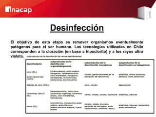 Desinfección
El objetivo de esta etapa es remover organismos eventualmente
patógenos para el ser humano. Las tecnologías utilizadas en Chile
corresponden a la cloración (en base a hipoclorito) y a los rayos ultra
violeta.
 