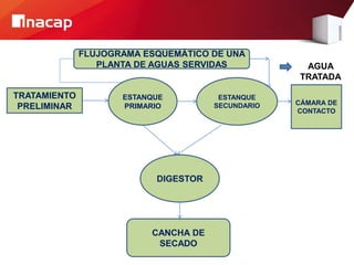 FLUJOGRAMA ESQUEMÁTICO DE UNA
PLANTA DE AGUAS SERVIDAS
TRATAMIENTO
PRELIMINAR
ESTANQUE
PRIMARIO
ESTANQUE
SECUNDARIO CÁMARA DE
CONTACTO
DIGESTOR
CANCHA DE
SECADO
AGUA
TRATADA
 