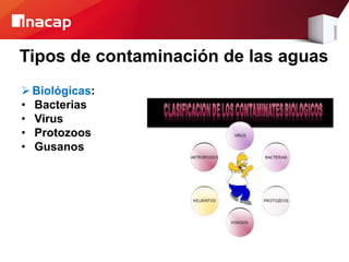 Tipos de contaminación de las aguas
Biológicas:
• Bacterias
• Virus
• Protozoos
• Gusanos
 