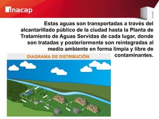 Estas aguas son transportadas a través del
alcantarillado público de la ciudad hasta la Planta de
Tratamiento de Aguas Servidas de cada lugar, donde
son tratadas y posteriormente son reintegradas al
medio ambiente en forma limpia y libre de
contaminantes.
 