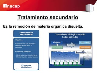 Tratamiento secundario
Es la remoción de materia orgánica disuelta.
 