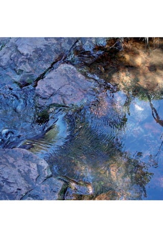 06594 miolo novo.indd 4 11/9/2012 09:26:42
 