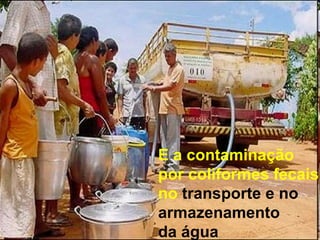 E a contaminação
por coliformes fecais
no transporte e no
armazenamento
da água
 
