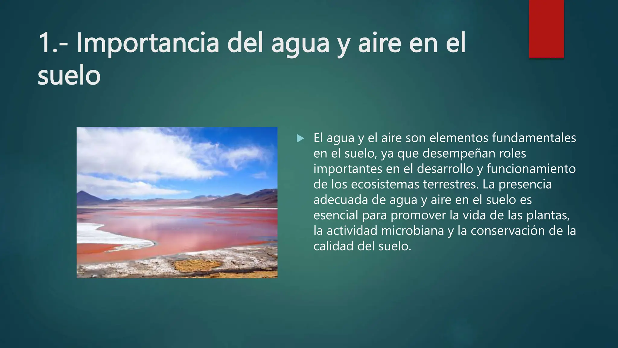 Tema Agua y Aire en el Suelo para secundaria.pptx