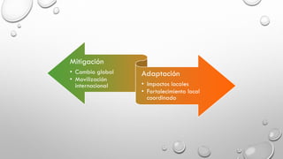Mitigación
• Cambio global
• Movilización
internacional
Adaptación
• Impactos locales
• Fortalecimiento local
coordinado
 