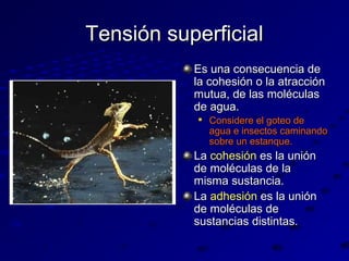 Tensión superficial
Es una consecuencia de
la cohesión o la atracción
mutua, de las moléculas
de agua.


Considere el goteo de
agua e insectos caminando
sobre un estanque.

La cohesión es la unión
de moléculas de la
misma sustancia.
La adhesión es la unión
de moléculas de
sustancias distintas.

 