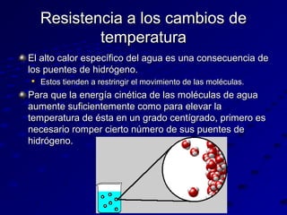 Resistencia a los cambios de
temperatura
El alto calor específico del agua es una consecuencia de
los puentes de hidrógeno.


Estos tienden a restringir el movimiento de las moléculas.

Para que la energía cinética de las moléculas de agua
aumente suficientemente como para elevar la
temperatura de ésta en un grado centígrado, primero es
necesario romper cierto número de sus puentes de
hidrógeno.

 