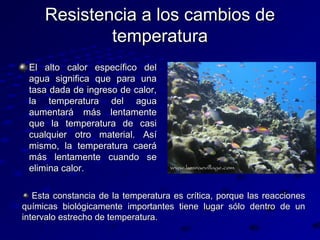 Resistencia a los cambios de
temperatura
El alto calor específico del
agua significa que para una
tasa dada de ingreso de calor,
la temperatura del agua
aumentará más lentamente
que la temperatura de casi
cualquier otro material. Así
mismo, la temperatura caerá
más lentamente cuando se
elimina calor.
Esta constancia de la temperatura es crítica, porque las reacciones
químicas biológicamente importantes tiene lugar sólo dentro de un
intervalo estrecho de temperatura.

 