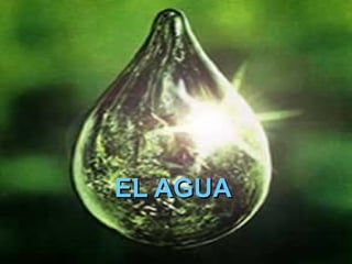 EL AGUA

 