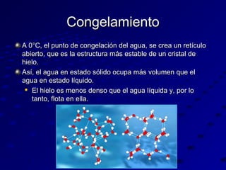 Congelamiento
A 0°C, el punto de congelación del agua, se crea un retículo
abierto, que es la estructura más estable de un cristal de
hielo.
Así, el agua en estado sólido ocupa más volumen que el
agua en estado líquido.
 El hielo es menos denso que el agua líquida y, por lo
tanto, flota en ella.

 