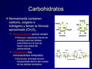 Carbohidratos
Normalmente contienen
carbono, oxígeno e
hidrógeno y tienen la fórmula
aproximada (CH2O)n.


Monosacáridos: azúcar simple:
Glucosa: importante fuente de
energía para las células;
subunidad con la que se
hacen casi todos los
polisacáridos.



Disacáridos: dos
monosacáridos enlazados:
Sacarosa: principal azúcar
transportado dentro del cuerpo
de las plantas terrestres.

 