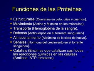 Funciones de las Proteínas









Estructurales (Queratina en pelo, uñas y cuernos).
Movimiento (Actina y Miosina en los músculos).
Transporte (Hemoglobina de la sangre).
Defensa (Anticuerpos en el torrente sanguíneo)
Almacenamiento (Albúmina de la clara de huevo).
Señales (Hormona del crecimiento en el torrente
sanguíneo).
Catálisis (Enzimas que catalizan casi todas
las reacciones químicas en las células)
(Amilasa, ATP sintetasa).

 