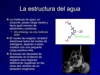 La estructura del agua
La molécula de agua, en
conjunto, posee carga neutra y
tiene igual número de
electrones y protones.


Sin embargo, es una molécula
polar.

El núcleo de oxígeno “arrastra”
electrones fuera del núcleo de
hidrógeno, dejando a estos
núcleos con una pequeña
carga positiva neta.
El exceso de densidad de
electrones en el átomo de
oxígeno crea regiones
débilmente negativas en los
otros dos vértices de un
tetraedro imaginario.

 