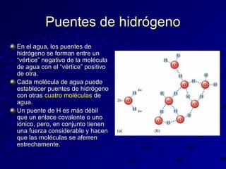 Puentes de hidrógeno
En el agua, los puentes de
hidrógeno se forman entre un
“vértice” negativo de la molécula
de agua con el “vértice” positivo
de otra.
Cada molécula de agua puede
establecer puentes de hidrógeno
con otras cuatro moléculas de
agua.
Un puente de H es más débil
que un enlace covalente o uno
iónico, pero, en conjunto tienen
una fuerza considerable y hacen
que las moléculas se aferren
estrechamente.

 