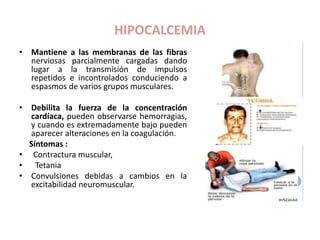 HIPOCALCEMIA
• Mantiene a las membranas de las fibras
nerviosas parcialmente cargadas dando
lugar a la transmisión de impulsos
repetidos e incontrolados conduciendo a
espasmos de varios grupos musculares.
• Debilita la fuerza de la concentración
cardíaca, pueden observarse hemorragias,
y cuando es extremadamente bajo pueden
aparecer alteraciones en la coagulación.
Síntomas :
• Contractura muscular,
• Tetania
• Convulsiones debidas a cambios en la
excitabilidad neuromuscular.
 