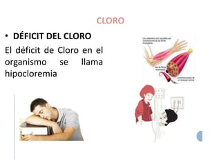 CLORO
• DÉFICIT DEL CLORO
El déficit de Cloro en el
organismo se llama
hipocloremia
 