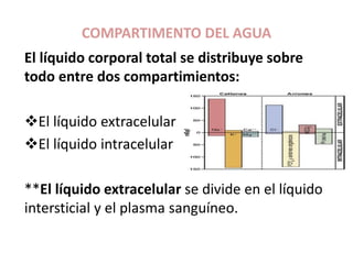 COMPARTIMENTO DEL AGUA
El líquido corporal total se distribuye sobre
todo entre dos compartimientos:
El líquido extracelular
El líquido intracelular
**El líquido extracelular se divide en el líquido
intersticial y el plasma sanguíneo.
 