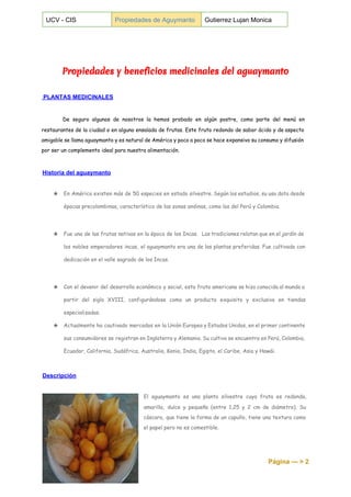  
UCV ­ CIS  Propiedades de Aguymanto  Gutierrez Lujan Monica 
 
 
 
 
Propiedades y beneficios medicinales del aguaymanto
 
 ​
PLANTAS MEDICINALES 
 
De seguro algunos de nosotros la hemos probado en algún postre, como parte del menú en
restaurantes de la ciudad o en alguna ensalada de frutas. Este fruto redondo de sabor ácido y de aspecto
amigable se llama aguaymanto y es natural de América y poco a poco se hace expansivo su consumo y difusión
por ser un complemento ideal para nuestra alimentación.
Historia del aguaymanto 
 
★ En América existen más de 50 especies en estado silvestre. Según los estudios, su uso data desde
épocas precolombinas, característico de las zonas andinas, como las del Perú y Colombia.
★ Fue una de las frutas nativas en la época de los Incas. Las tradiciones relatan que en el jardín de
los nobles emperadores incas, el aguaymanto era una de las plantas preferidas. Fue cultivada con
dedicación en el valle sagrado de los Incas.
★ Con el devenir del desarrollo económico y social, esta fruta americana se hizo conocida al mundo a
partir del siglo XVIII, configurándose como un producto exquisito y exclusivo en tiendas
especializadas.
★ Actualmente ha cautivado mercados en la Unión Europea y Estados Unidos, en el primer continente
sus consumidores se registran en Inglaterra y Alemania. Su cultivo se encuentra en Perú, Colombia,
Ecuador, California, Sudáfrica, Australia, Kenia, India, Egipto, el Caribe, Asia y Hawái.
Descripción 
 
El aguaymanto es una planta silvestre cuya fruta es redonda,
amarilla, dulce y pequeña (entre 1,25 y 2 cm de diámetro). Su
cáscara, que tiene la forma de un capullo, tiene una textura como
el papel pero no es comestible.
Página ­­­ > 2 
 