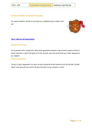  
UCV ­ CIS  Propiedades de Aguymanto  Gutierrez Lujan Monica 
 
 
 
Combate la diabetes y problemas de la próstata: 
 
Su consumo mediante infusión de sus hojas es un complemento para combatir este
mal.
Usos  externos del aguaymanto 
 
Alivia el dolor de oídos 
 
Se recomienda tomar el juego bien colado de dos aguaymantos maduros, luego de esto se sugiere entibiar el
líquido resultante y aplicar dos gotas en el oído afectado cada ocho horas hasta que el dolor desaparezca
por completo.
Previene las cataratas 
 
Se saca el jugo al aguaymanto, se cuela y se aplica dos gotas de esta sustancia en el ojo afectado. Se debe
repetir esta operación tres veces al día para fortalecer su ojo y mejorar su visión.
Página ­­­ > 5 
 
