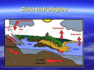 Ciclo hidrológico 