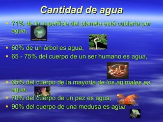 Cantidad de agua 71% de la superficie del planeta está cubierta por agua, 60% de un árbol es agua, 65 - 75% del cuerpo de un ser humano es agua, 65% del cuerpo de la mayoría de los animales es agua, 70% del cuerpo de un pez es agua, 90% del cuerpo de una medusa es agua   