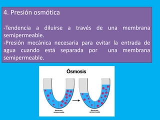 4. Presión osmótica
-Tendencia a diluirse a través de una membrana
semipermeable.
-Presión mecánica necesaria para evitar ...