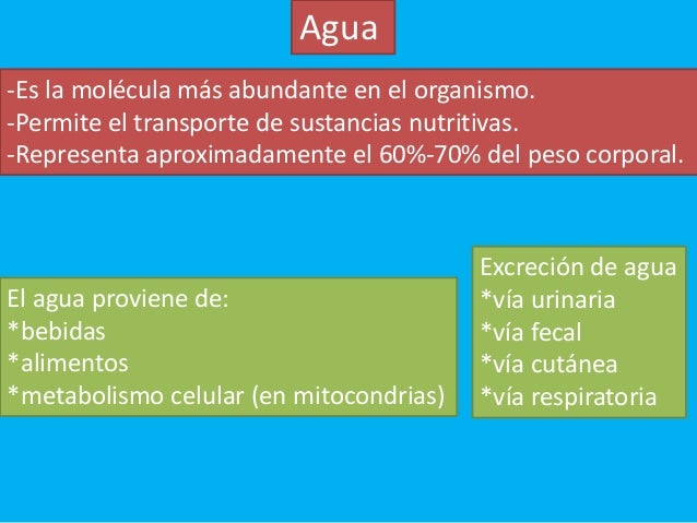 Ideas para ayudarle con pirámide de la dieta mediterránea