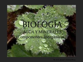BIOLOGÍA
   AGUA Y MINERALES
(Componentes Inorgánicos)




                  M. en C. Josué Y. García Meza.
 
