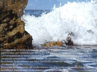 La rotación de la tierra sobre su eje, unida a la acción de los vientos, genera corrientes
superficiales que redistribuyen alrededor del planeta las aguas cálidas y frías.
Las variaciones en la temperatura y en la salinidad del agua mantienen el sistema de
circulación termosalino, enorme proceso de corrientes interconectadas en la superficie y
en el fondo de los océanos que hace circular los nutrientes e influye en los patrones
climáticos del globo.
En la zona de confluencia del medio marino con el terrestre existen arrecifes de coral o
acantilados marinos relieves modelados por la acción del oleaje.
 