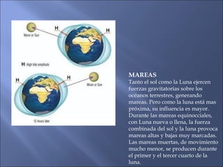 MAREAS
Tanto el sol como la Luna ejercen
fuerzas gravitatorias sobre los
océanos terrestres, generando
mareas. Pero como la luna está mas
próxima, su influencia es mayor.
Durante las mareas equinocciales,
con Luna nueva o llena, la fuerza
combinada del sol y la luna provoca
mareas altas y bajas muy marcadas.
Las mareas muertas, de movimiento
mucho menor, se producen durante
el primer y el tercer cuarto de la
luna.
 