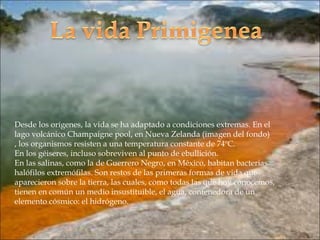 Desde los orígenes, la vida se ha adaptado a condiciones extremas. En el
lago volcánico Champaigne pool, en Nueva Zelanda (imagen del fondo)
, los organismos resisten a una temperatura constante de 74ºC.
En los géiseres, incluso sobreviven al punto de ebullición.
En las salinas, como la de Guerrero Negro, en México, habitan bacterias
halófilos extremófilas. Son restos de las primeras formas de vida que
aparecieron sobre la tierra, las cuales, como todas las que hoy conocemos,
tienen en común un medio insustituible, el agua, contenedora de un
elemento cósmico: el hidrógeno.
 