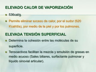 ELEVADO CALOR DE VAPORIZACIÓN
 536cal/g.
 Permite eliminar exceso de calor, por el sudor (620
Kcal/día), por medio de la piel y por los pulmones.
ELEVADA TENSIÓN SUPERFICIAL
 Determina la cohesión entre las moléculas de su
superficie.
 Tensoactivos facilitan la mezcla y emulsión de grasas en
medio acuoso (Sales biliares, surfactante pulmonar y
líquido sinovial articular).
 