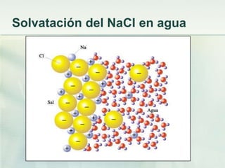 Solvatación del NaCl en agua
 