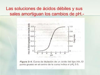 Las soluciones de ácidos débiles y sus
sales amortiguan los cambios de pH.-
 