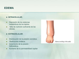 EDEMA
♣ INTRACELULAR:
 Depresión de los sistemas
metabólicos de los tejidos
 falta de nutrición suficiente de las
células.
♣ EXTRACELULAR:
 Disminución de la presión osmótica.
 Obstrucción linfática.
 Incremento de la presión
hidrostática.
 Aumento de la permeabilidad capilar
 