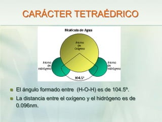 CARÁCTER TETRAÉDRICO
 El ángulo formado entre (H-O-H) es de 104.5º.
 La distancia entre el oxígeno y el hidrógeno es de
0.096nm.
 