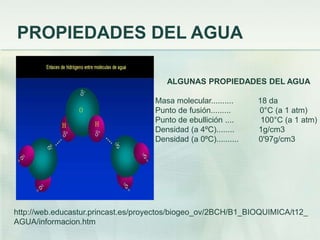 PROPIEDADES DEL AGUA
ALGUNAS PROPIEDADES DEL AGUA
Masa molecular.......... 18 da
Punto de fusión......... 0°C (a 1 atm)
Punto de ebullición .... 100°C (a 1 atm)
Densidad (a 4ºC)........ 1g/cm3
Densidad (a 0ºC).......... 0'97g/cm3
http://web.educastur.princast.es/proyectos/biogeo_ov/2BCH/B1_BIOQUIMICA/t12_
AGUA/informacion.htm
 