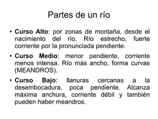 Partes de un río
● Curso Alto: por zonas de montaña, desde el
nacimiento del río. Río estrecho, fuerte
corriente por la pronunciada pendiente.
● Curso Medio: menor pendiente, corriente
menos intensa. Río más ancho, forma curvas
(MEANDROS).
● Curso Bajo: llanuras cercanas a la
desembocadura, poca pendiente. Alcanza
máxima anchura, corriente débil y también
pueden haber meandros.
 