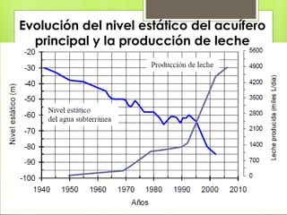 Evolución del nivel estático del acuífero
principal y la producción de leche
 