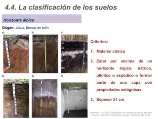 Procesos edafogenéticos en Geografía y OT | PPTX
