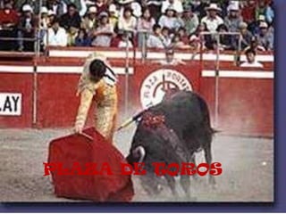 PLAZA DE TOROS