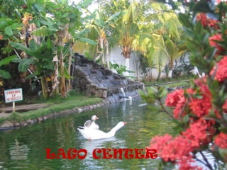 LAGO CENTER