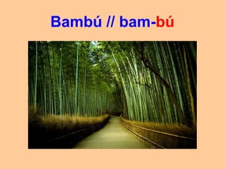 Bambú // bam-bú
 