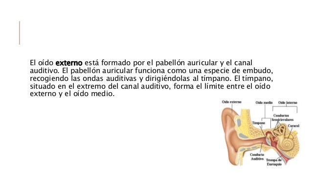 Agudeza auditiva (1)