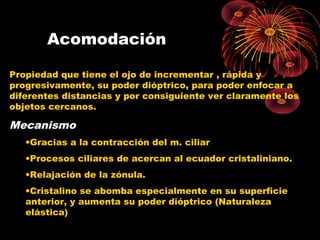 Acomodación
Propiedad que tiene el ojo de incrementar , rápida y
progresivamente, su poder dióptrico, para poder enfocar a
diferentes distancias y por consiguiente ver claramente los
objetos cercanos.
Mecanismo
•Gracias a la contracción del m. ciliar
•Procesos ciliares de acercan al ecuador cristaliniano.
•Relajación de la zónula.
•Cristalino se abomba especialmente en su superficie
anterior, y aumenta su poder dióptrico (Naturaleza
elástica)
 