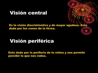 Visión central
Es la visión discriminativa y de mayor agudeza. Esta
dada por los conos de la fóvea.
Esta dada por la periferia de la retina y nos permite
percibir lo que nos rodea.
Visión periférica
 
