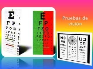 Pruebas de visión 